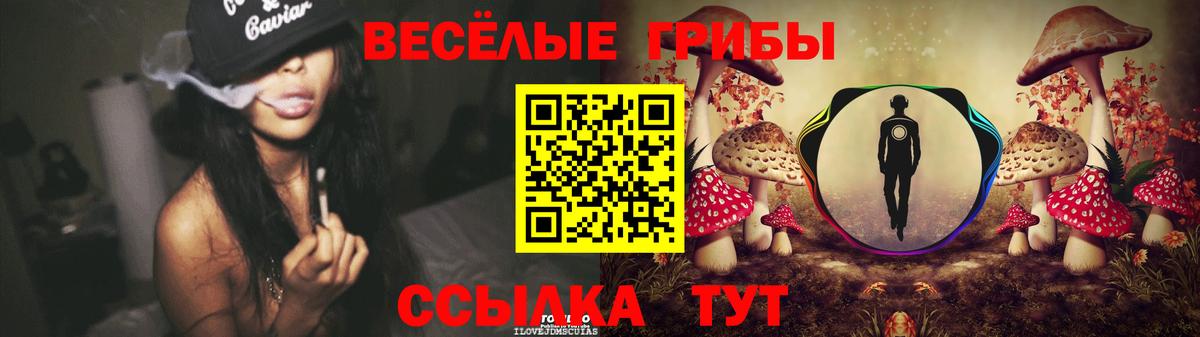 Псилоцибиновые грибы Psilocybine cubensis Асино